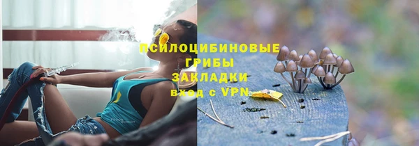сатива Алексеевка