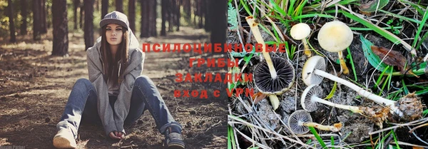 скорость mdpv Алзамай