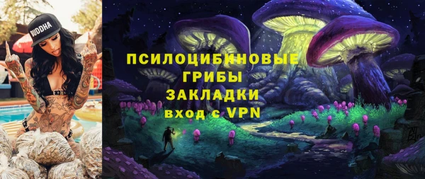 твердый Алексин