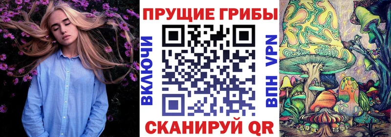 Галлюциногенные грибы GOLDEN TEACHER  ОМГ ОМГ   Лермонтов  где купить наркоту 